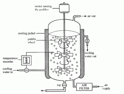 Chapter 11: Modernization of Fermenters for Large-Scale Production in the Food and Beverage Industry (2018)