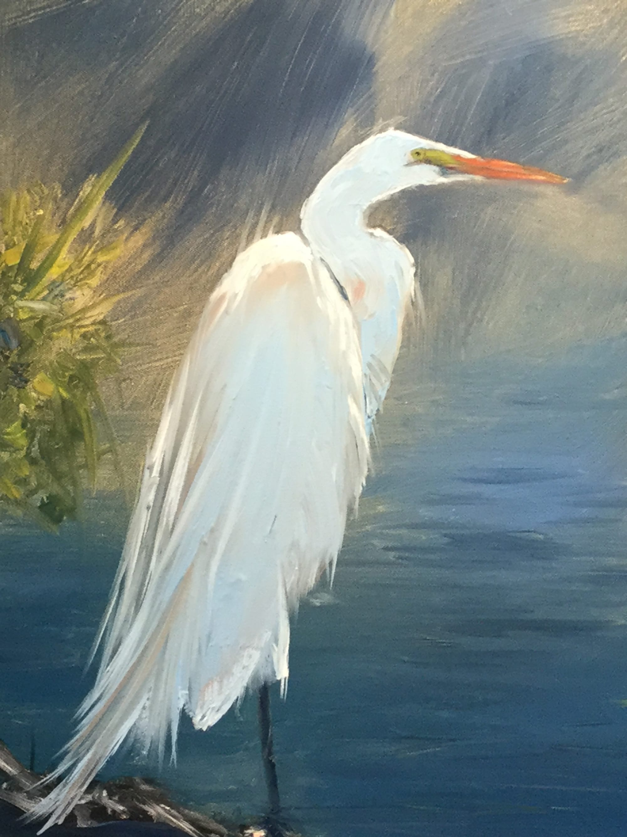 Snowy Egret