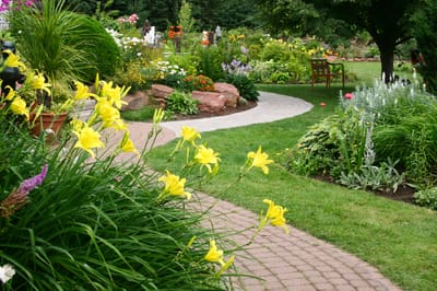 Things to Consider a Good Lawn Care Service image