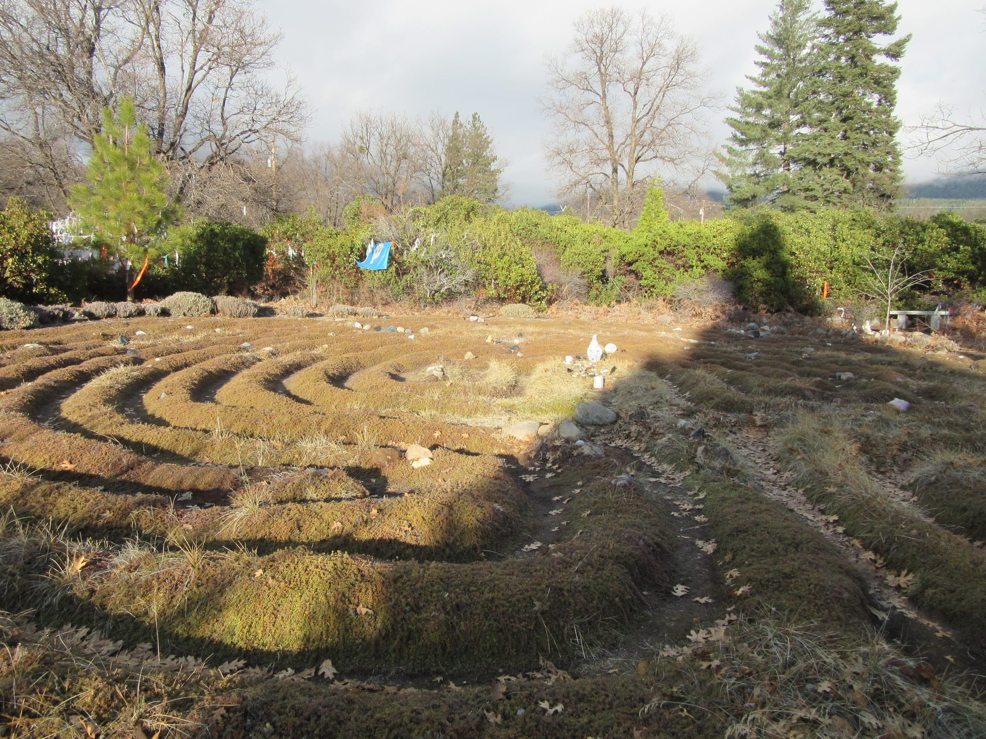 חוייה מיסטית בהר שסטה