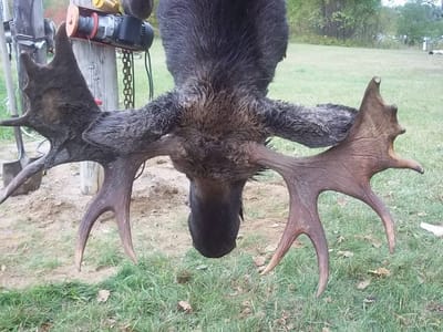 What Hunters Provide image