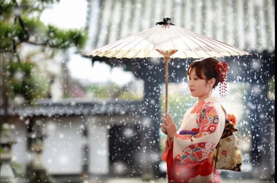 雨だから撮れる写真