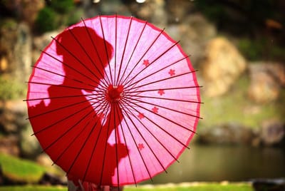 和傘に映す成人式