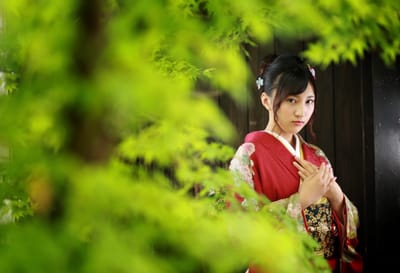 赤と緑と黒の記念