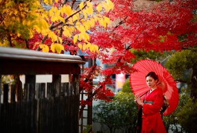 紅葉と赤い振袖