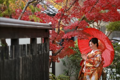 秋のロケ撮影より