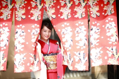 暖簾ごしの成人式