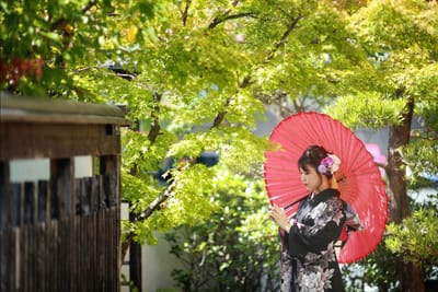 ロケーションの季節