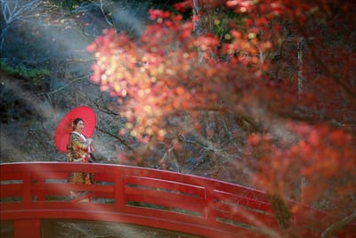 木漏れ日の中の赤