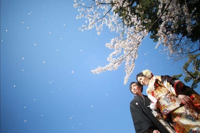 2022 サクラサク 1