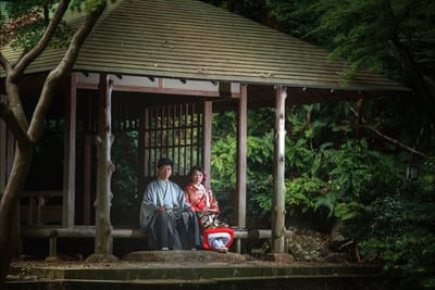 背景に合わせて