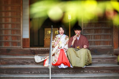 おやつは三色団子