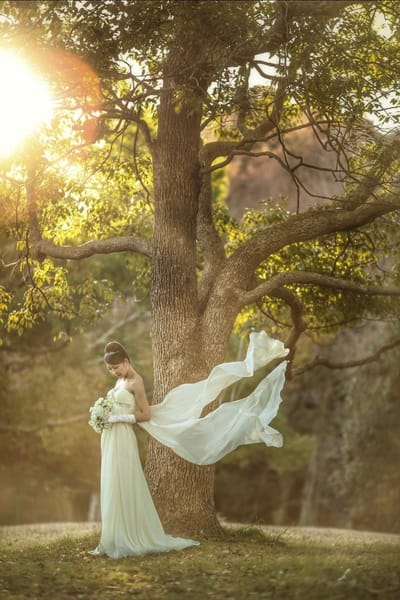 大人ウェディング