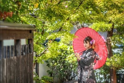 和の館成人式フォト