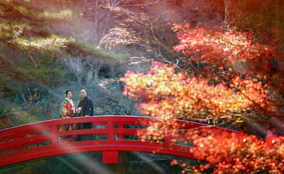 紅葉で和装ロケ