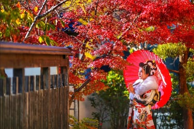 和の館に秋の足音
