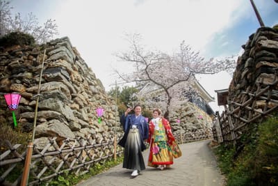 桜でフォトウェディング