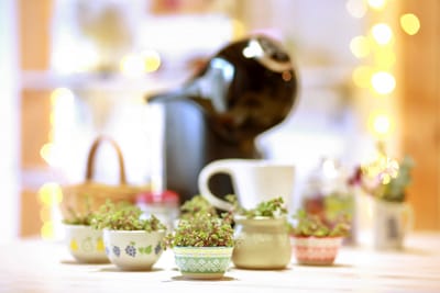 明日から12年目スタート！