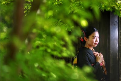 和の館・緑ロケ