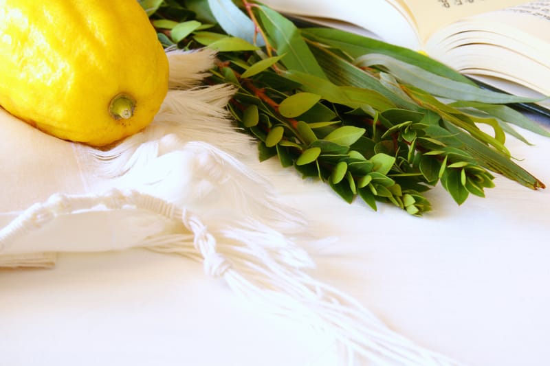 ושאבתם מים בששון