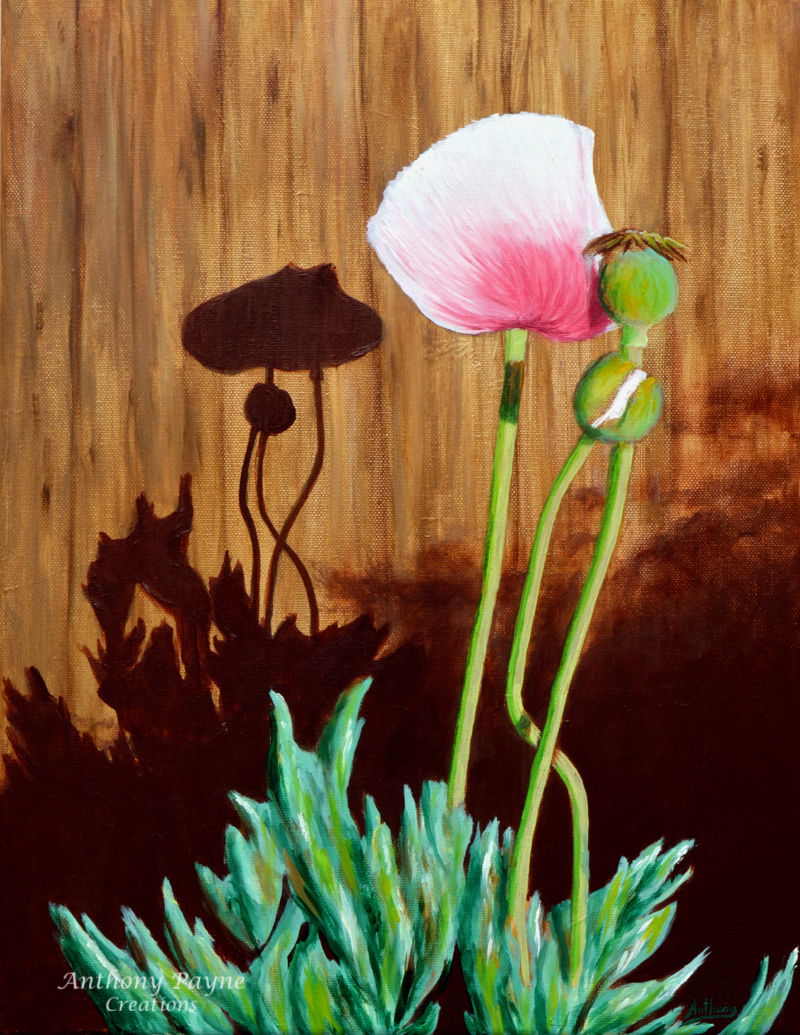 "Poppies"
