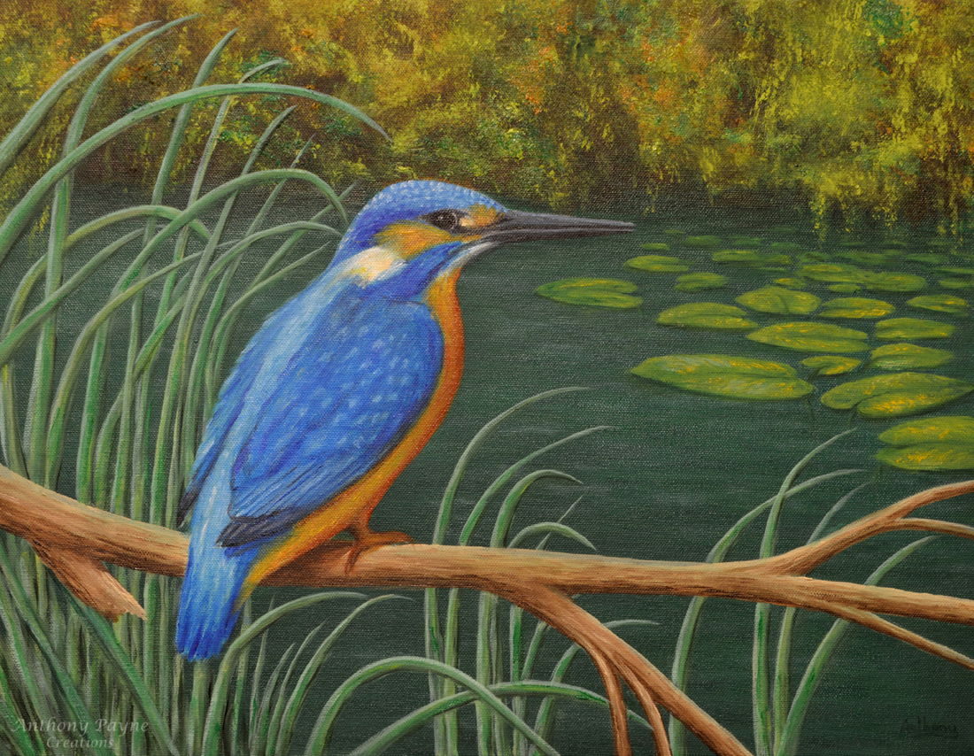 "The Patient Kingfisher"