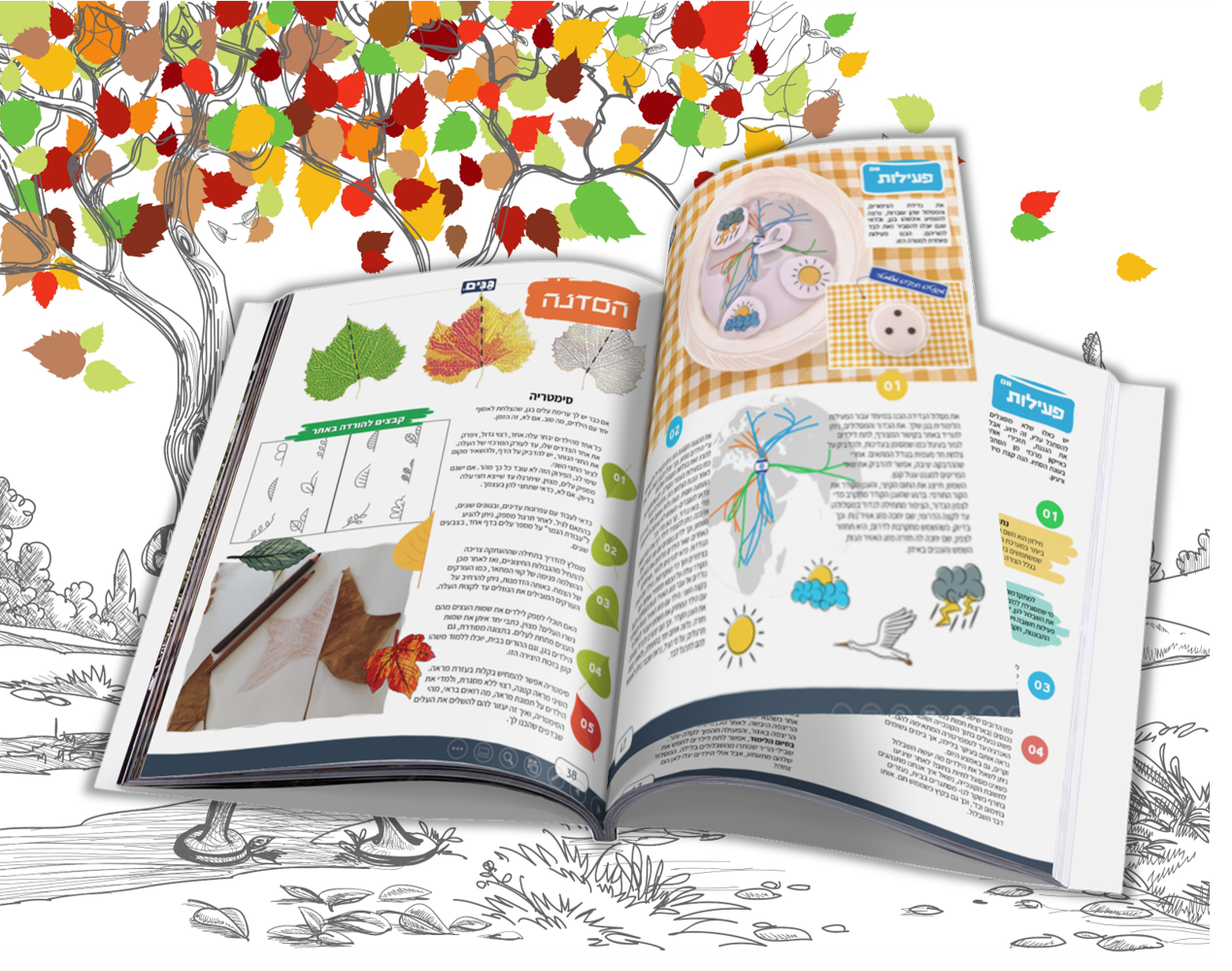 מתוך המגזין