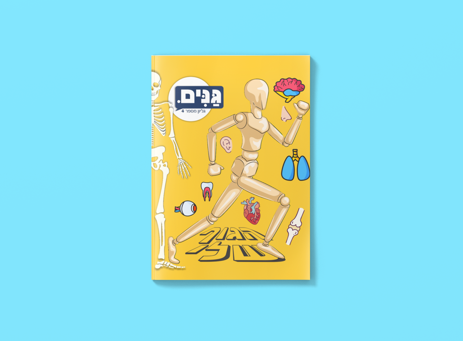 גליון הגוף הפנימי