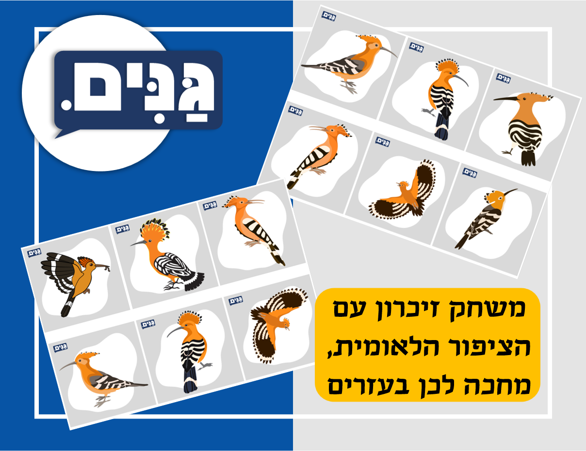 גליון עצמאות