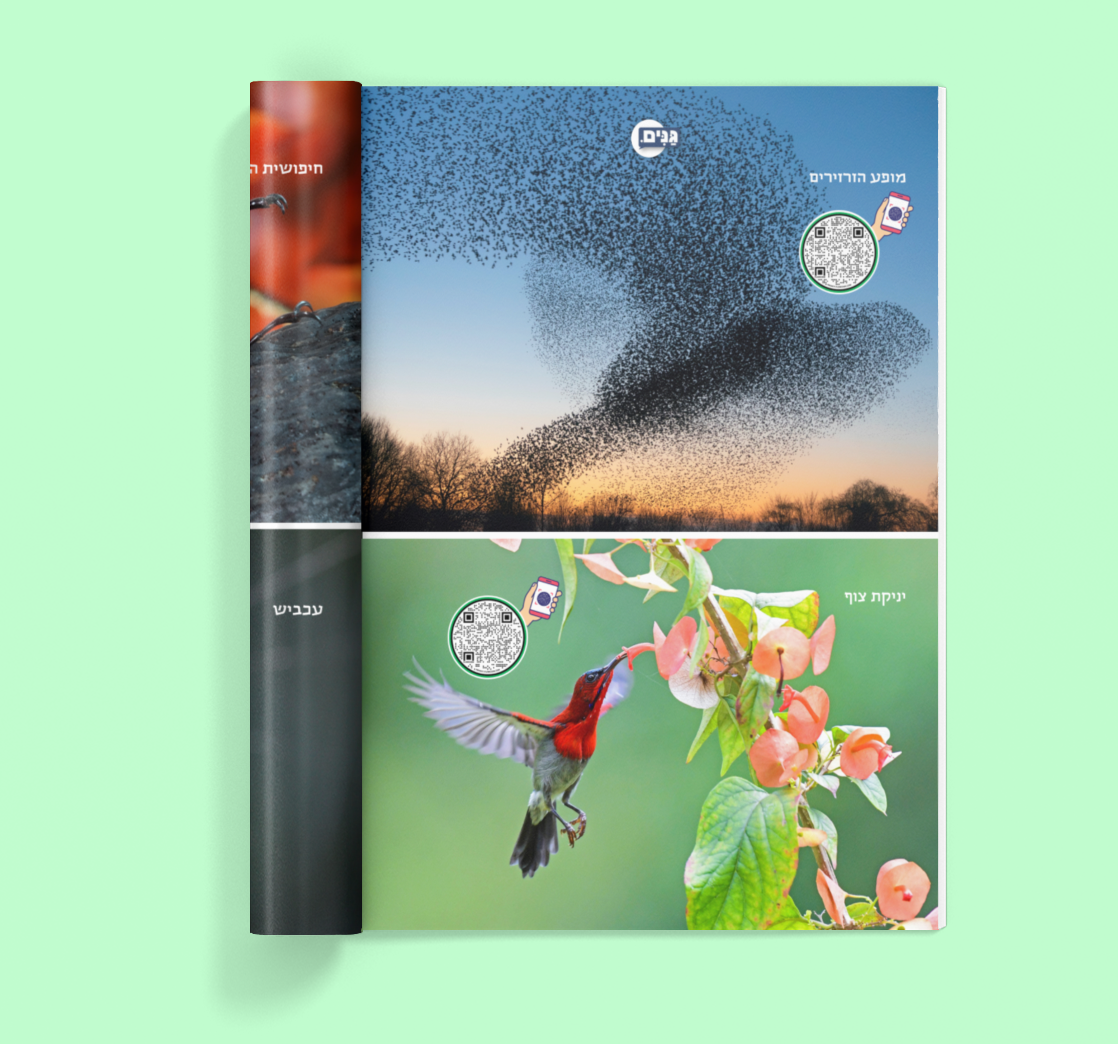 גליון בעלי חיים- לילדים