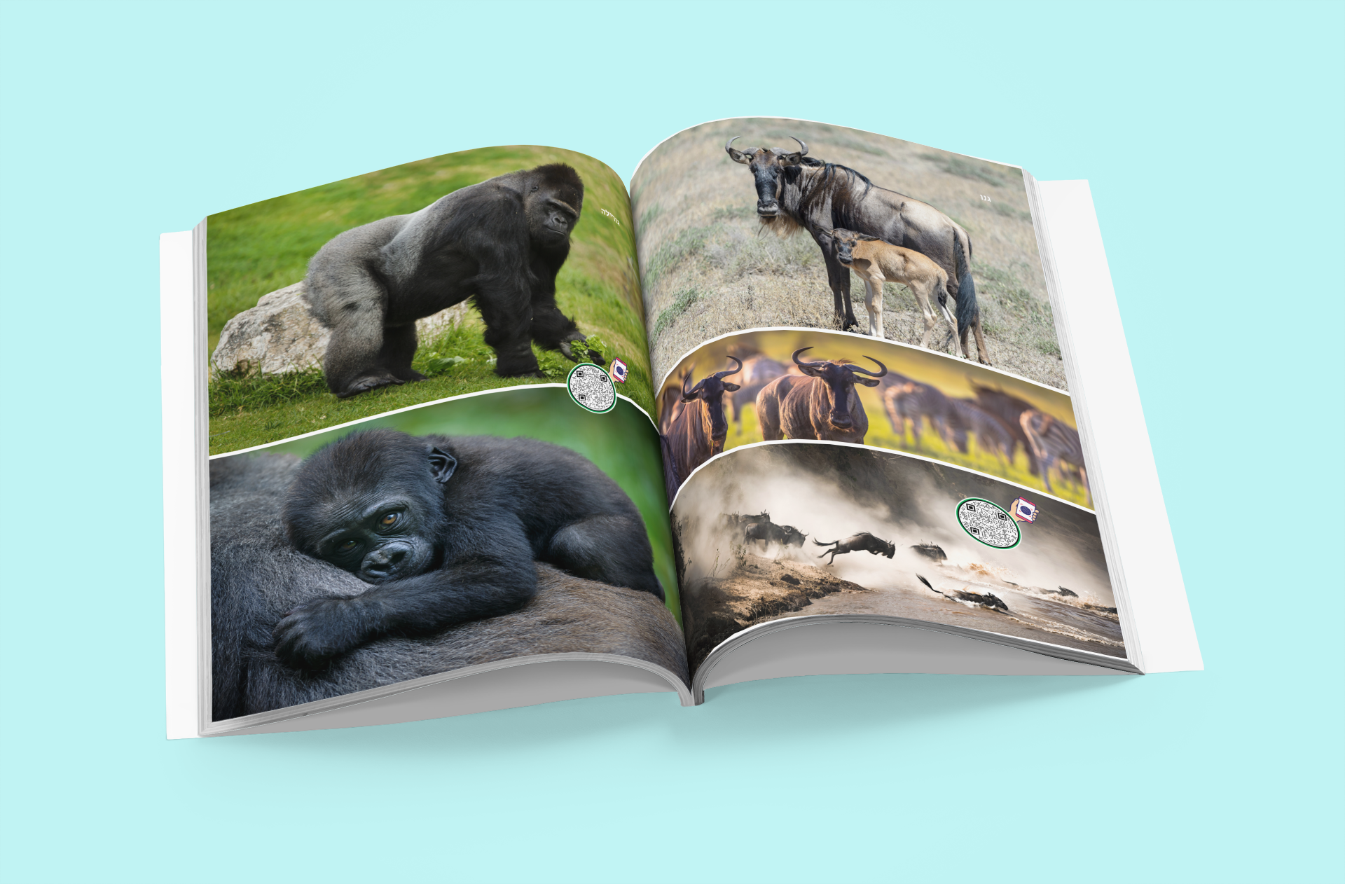 גליון בעלי חיים- לילדים