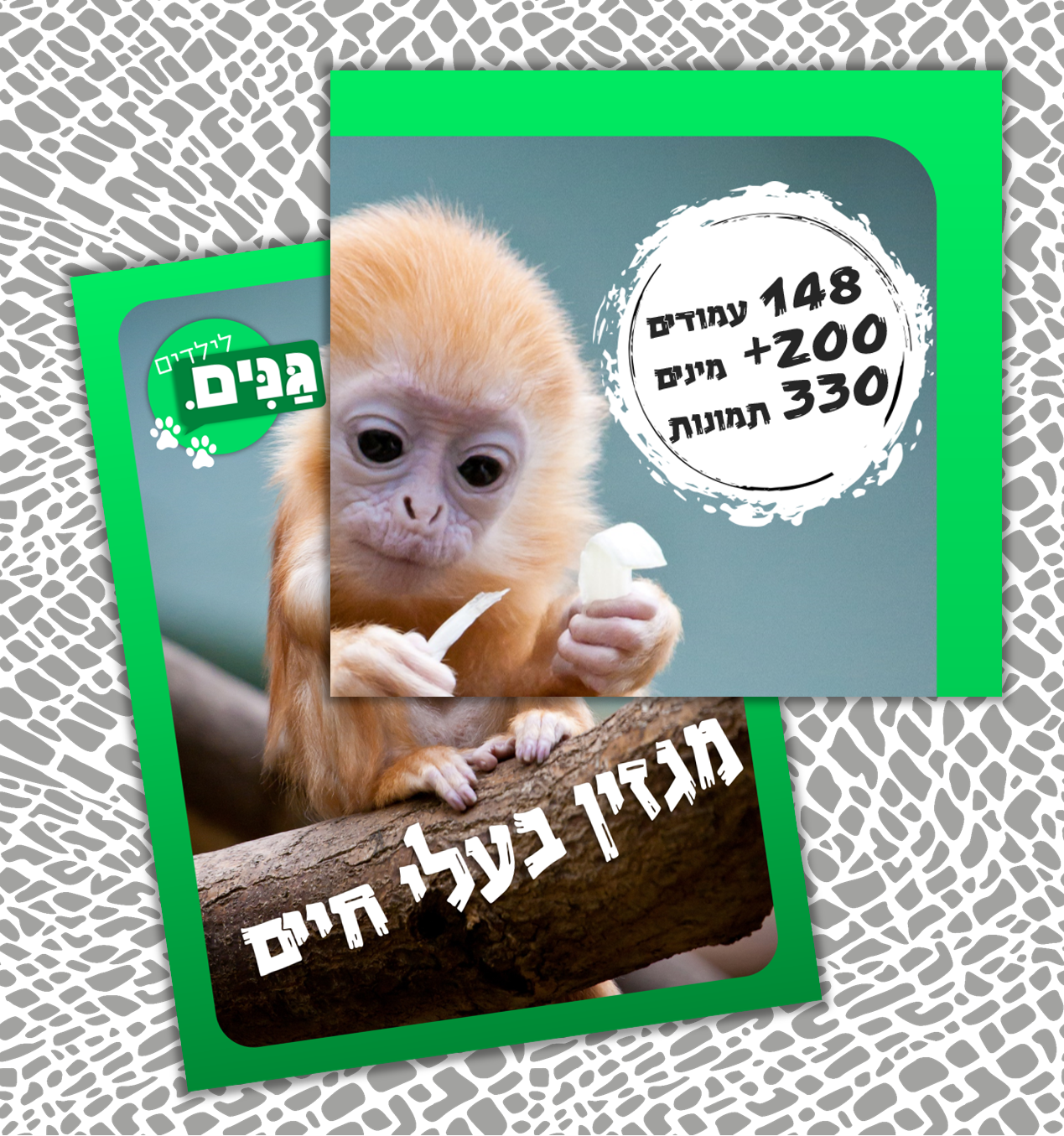 גליון בעלי חיים- לילדים