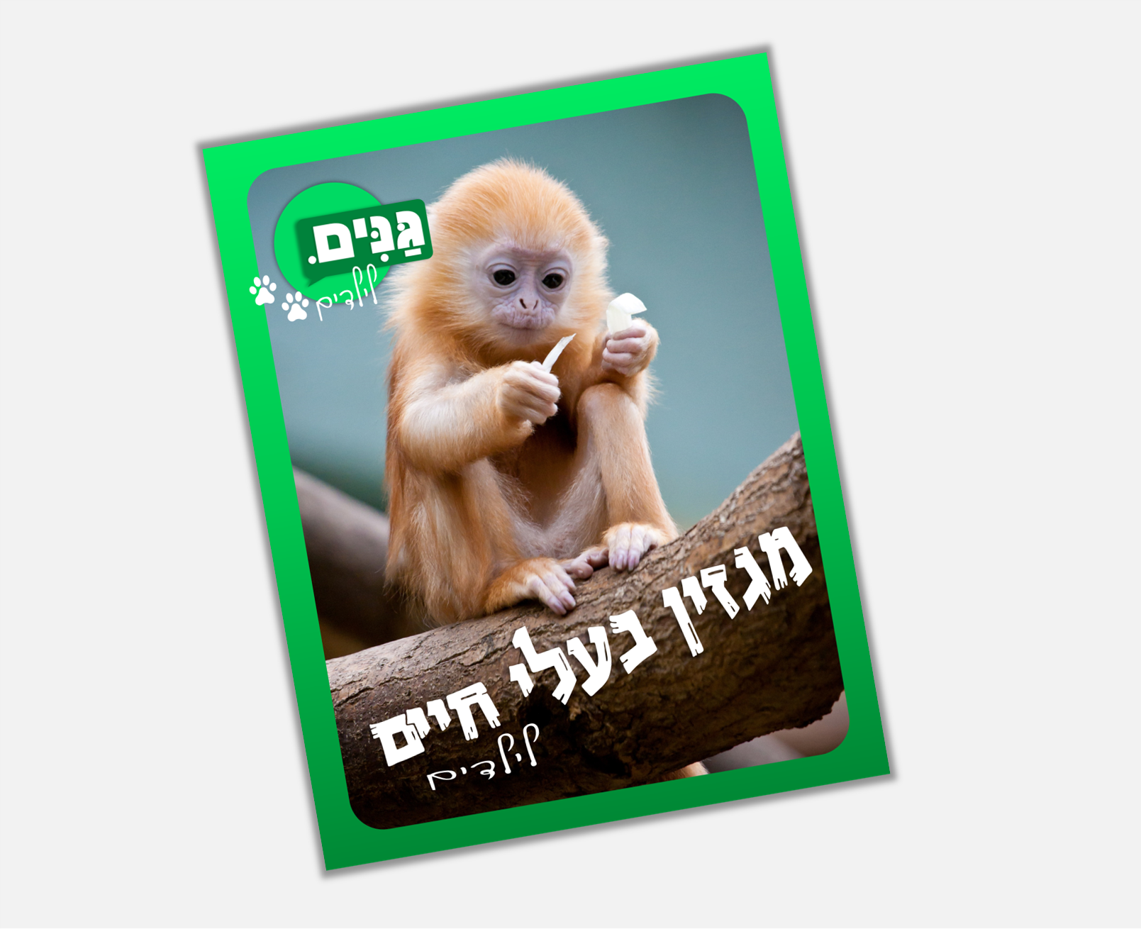 גליון בעלי חיים- לילדים