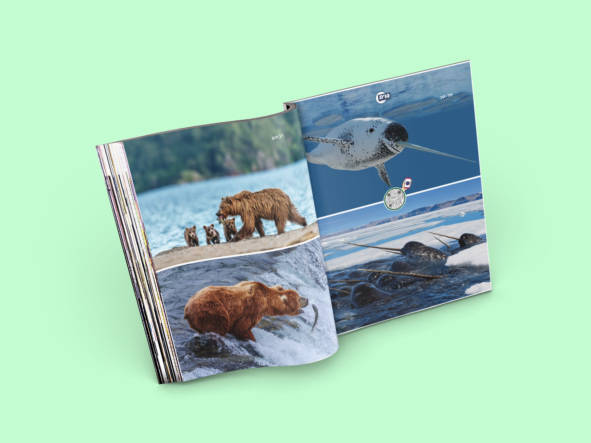 גליון בעלי חיים- לילדים