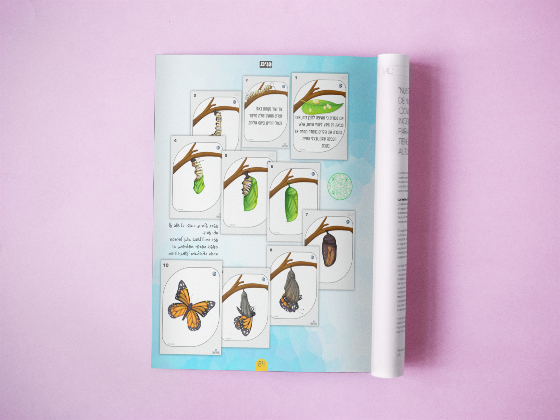 גליון בעלי חיים