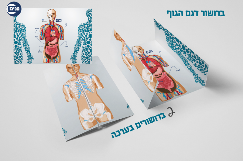 מה כוללת הערכה לגן בנושא הגוף שלי?