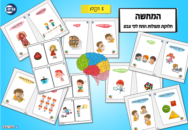 מה כוללת הערכה לגן בנושא הגוף שלי?