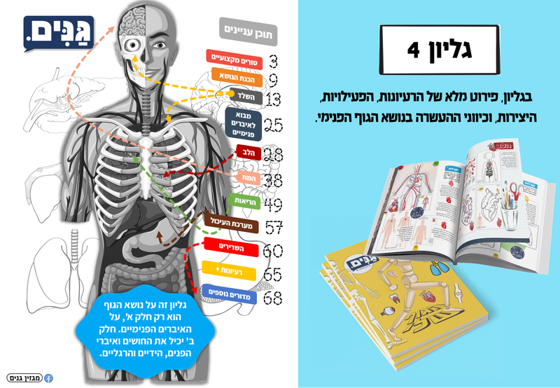 מה כוללת הערכה לגן בנושא הגוף שלי?