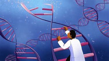 STEM IS LIMited to Diverse Cultures image