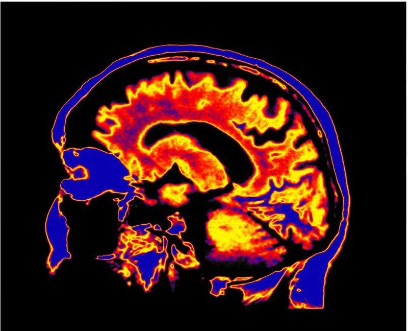 Segmentation service