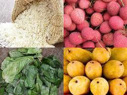 List of GI-tagged Agricultural Products of Bihar