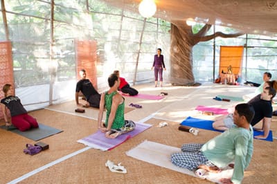 Welcome to Samballa Yoga image
