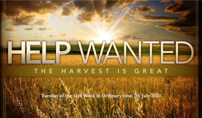 Help Wanted: The Harvest is Great