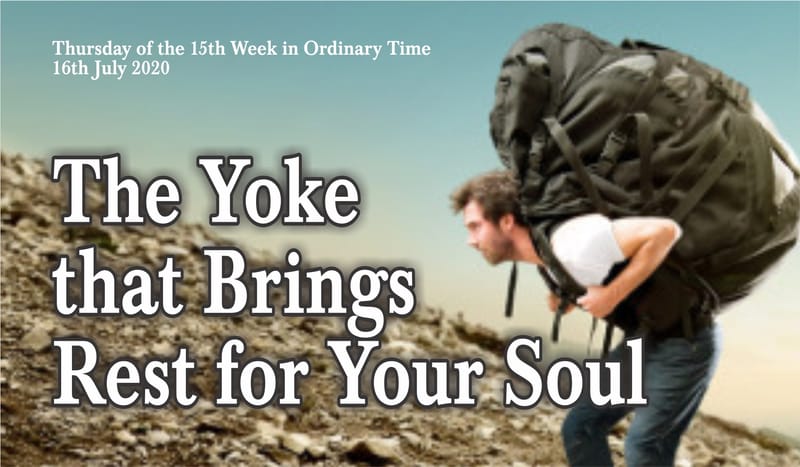 The Yoke that Brings Rest for Your Soul.