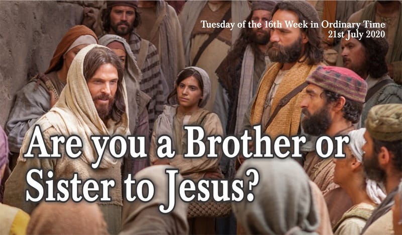 Are you a Brother or Sister to Jesus?
