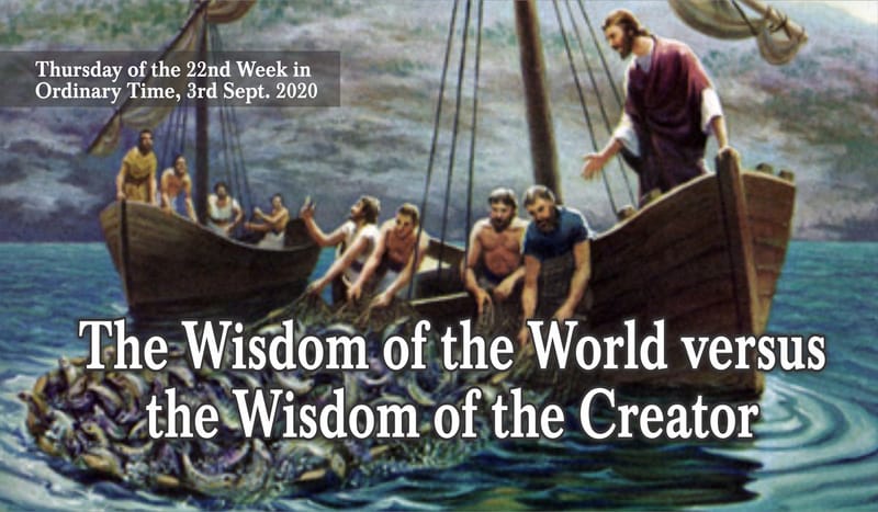 The Wisdom of the World versus the Wisdom of the Creator