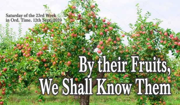 By their Fruits, We Shall Know Them