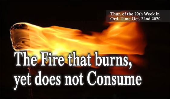 The Fire that Burns, yet does not Consume