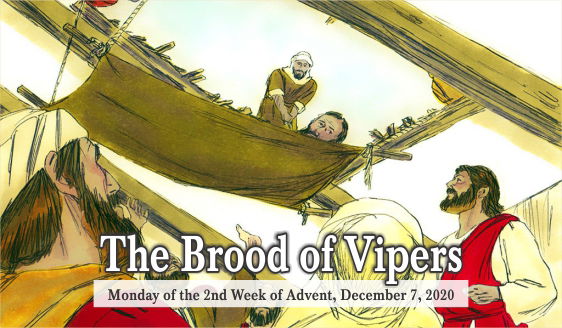 The Brood of Vipers