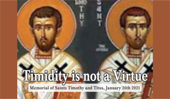 Timidity is not A Virtue